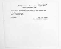 Stylonectria purtonii image